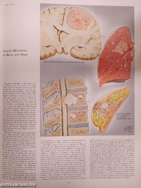 The CIBA Collection of Medical Illustrations I.