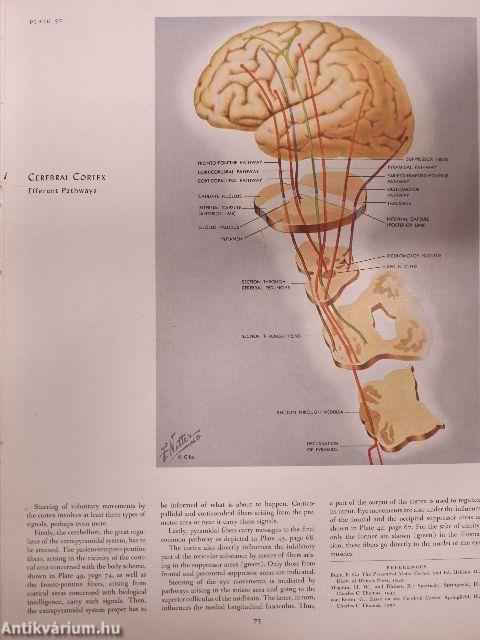 The CIBA Collection of Medical Illustrations I.