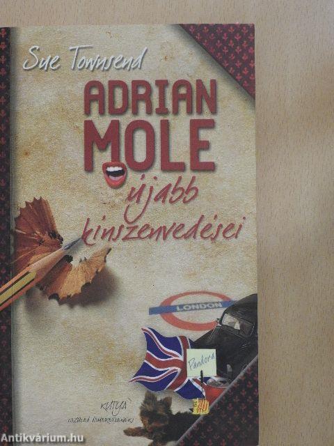 Adrian Mole újabb kínszenvedései