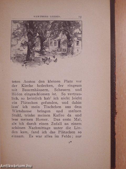 Die Leiden des jungen Werther