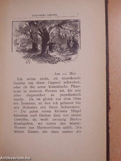 Die Leiden des jungen Werther