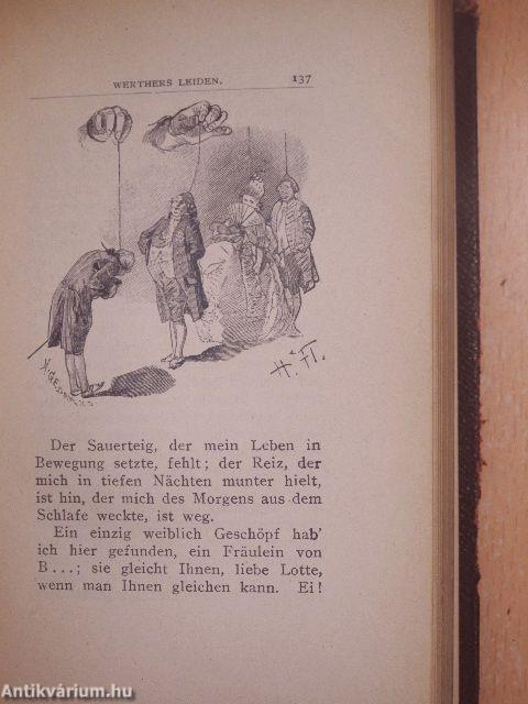 Die Leiden des jungen Werther