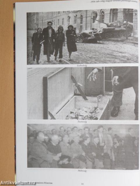 Kisenciklopédia 15.