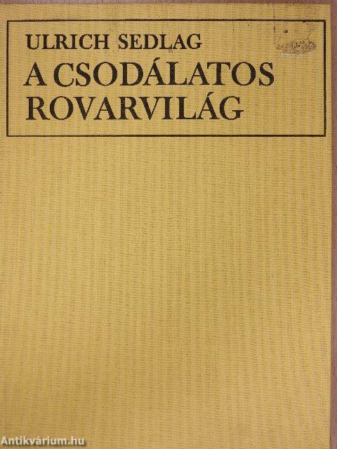 A csodálatos rovarvilág