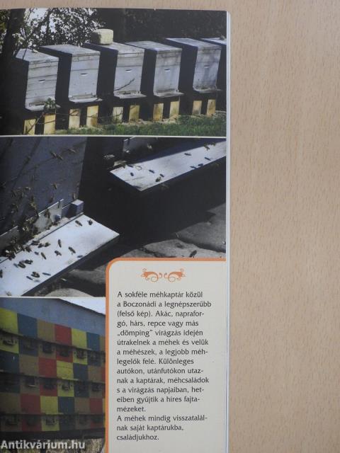 Mézeskönyv (dedikált példány)