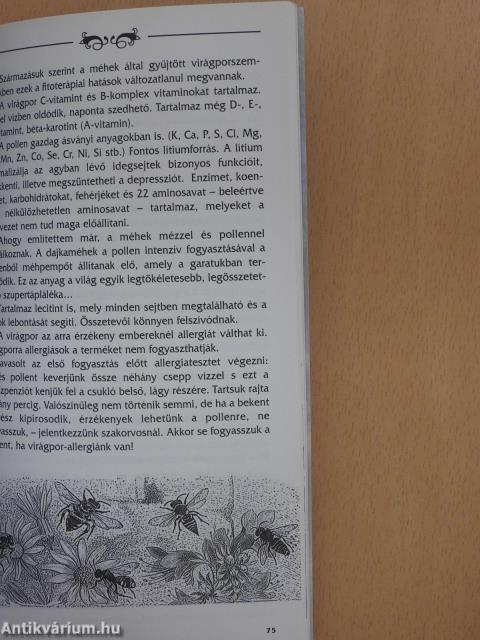 Mézeskönyv (dedikált példány)