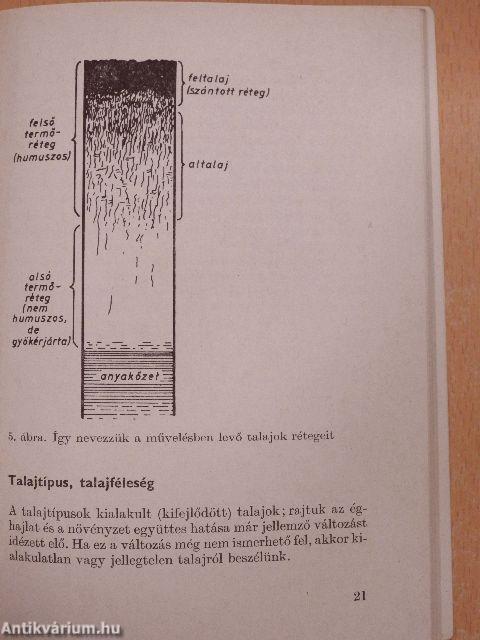 A kiskertek talaja