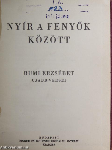 Nyír a fenyők között