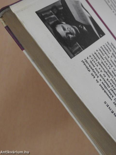 Sólyomidő (dedikált példány)