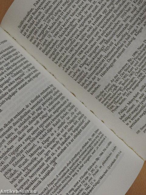 Az elfelejtett reneszánsz