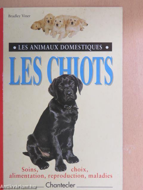 Les Chiots