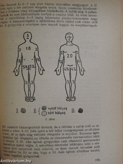 A traumatológia alapelemei I-III.