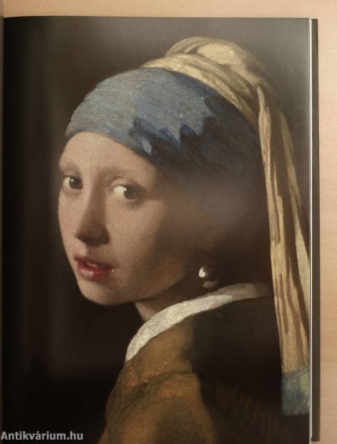 Vermeer (védődobozos példány)