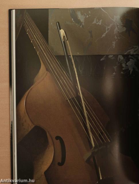 Vermeer (védődobozos példány)