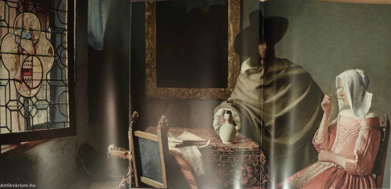 Vermeer (védődobozos példány)