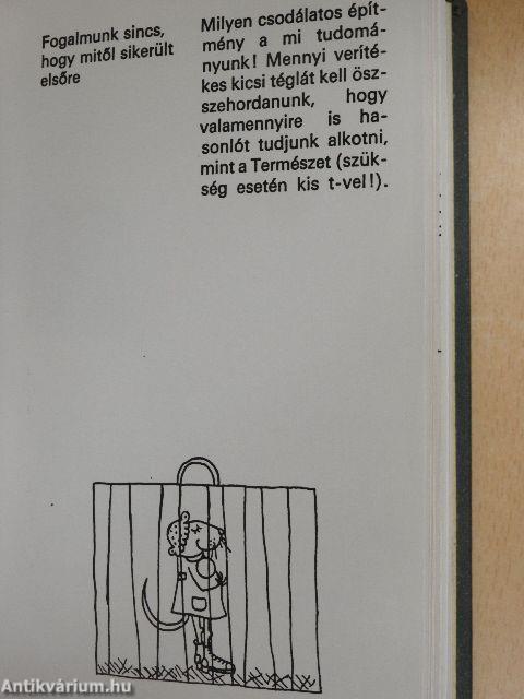 Dr. Ezésez Géza karrierje