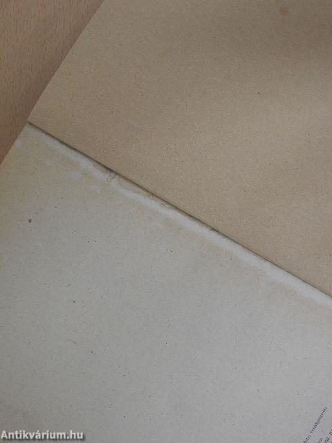 Fejlődéstörténeti növényrendszertan