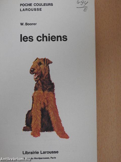Les chiens