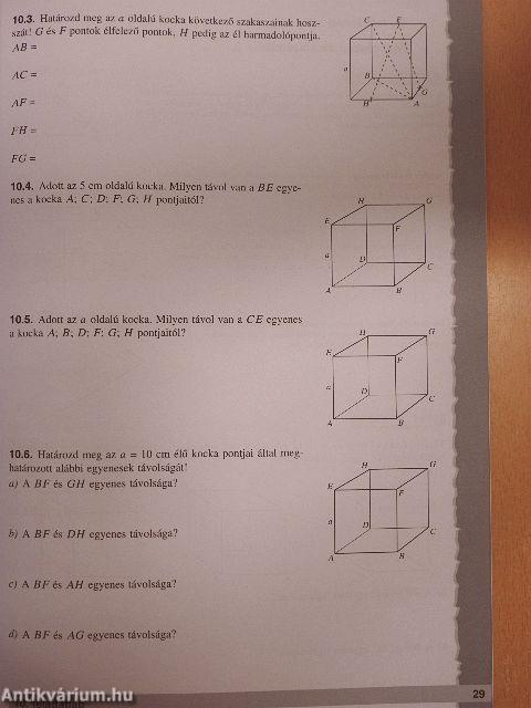 Matematika gyakorló feladatlapok 12.