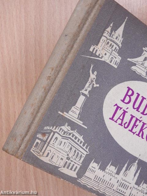 Budapesti tájékoztató