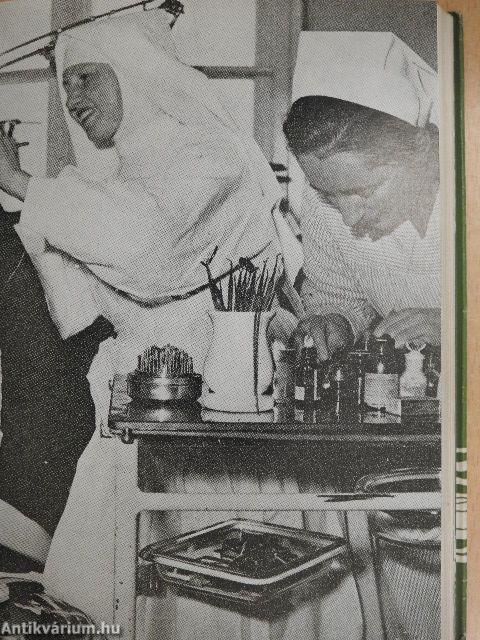 Beszélgetés a Mesterrel