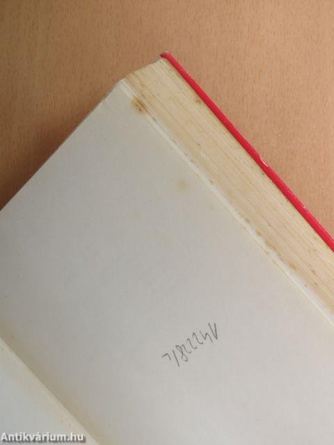 Világkép és stílus