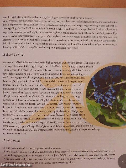 Feng Shui a konyhában