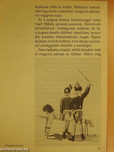 Így élt Táncsics Mihály