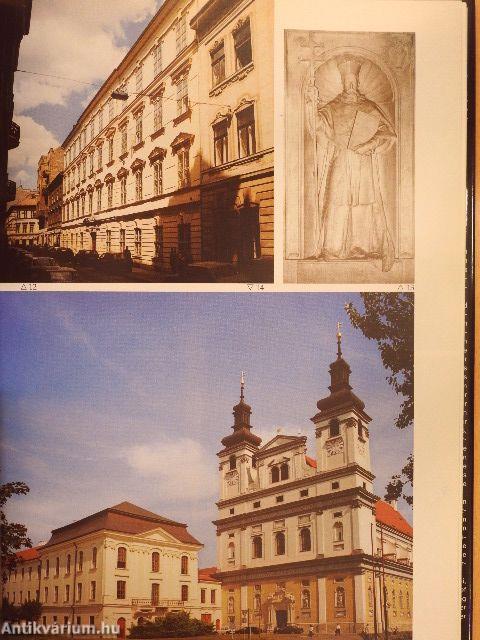 A magyar egyház évezrede