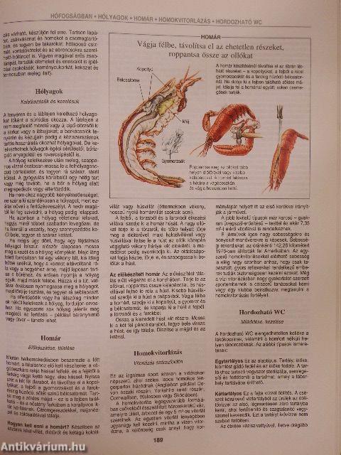 Ötletek, jó tanácsok, megoldások bármire