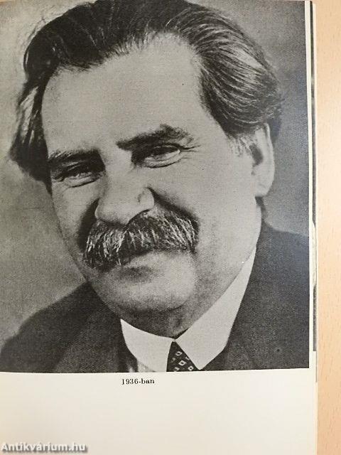 Móricz Zsigmond alkotásai és vallomásai tükrében