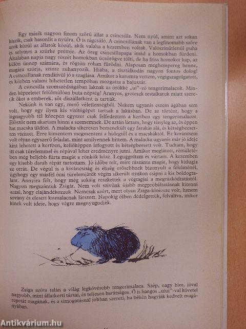 Állatkerti mulatságok