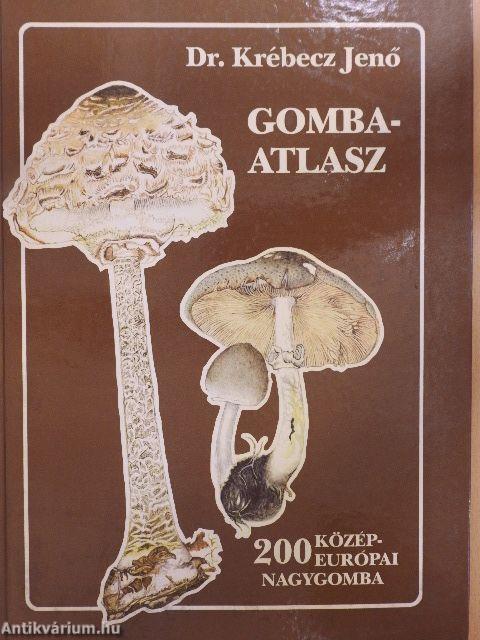 Gombaatlasz