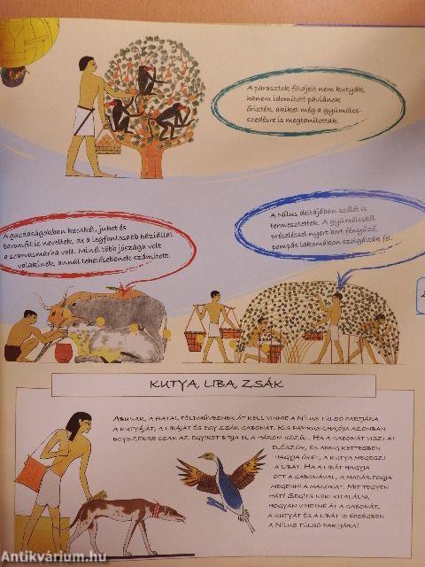 Alex és Penny Egyiptomban