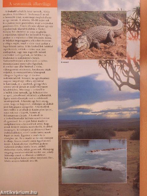 Barangolás az állatvilágban