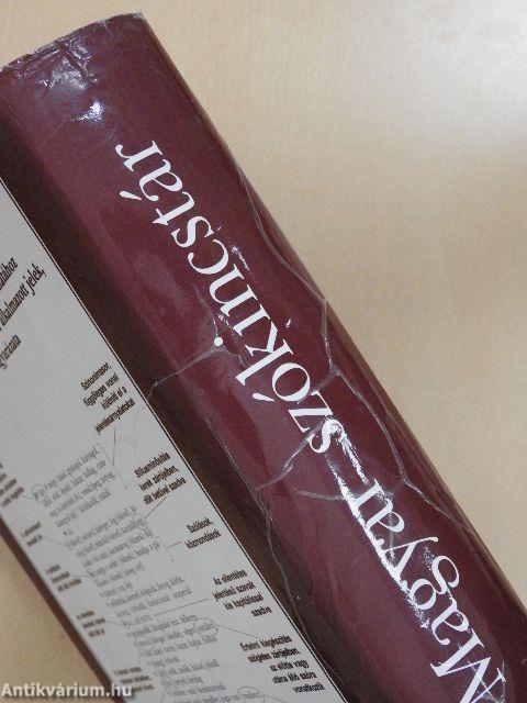 Magyar szókincstár