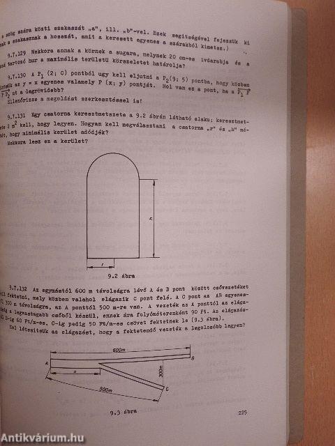 Matematikai példatár I/1.