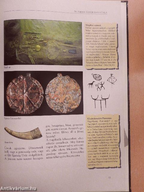 Álmos hét könyve V.