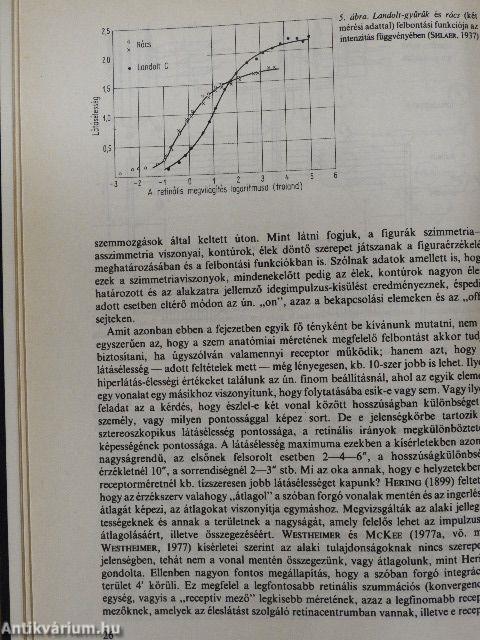 A látás alapfolyamatairól