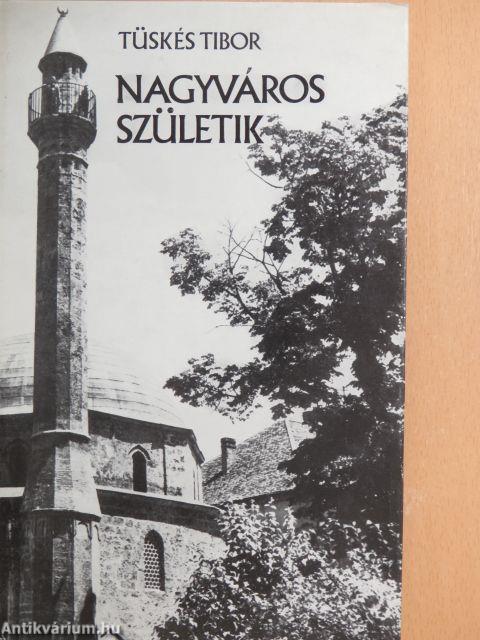 Nagyváros születik