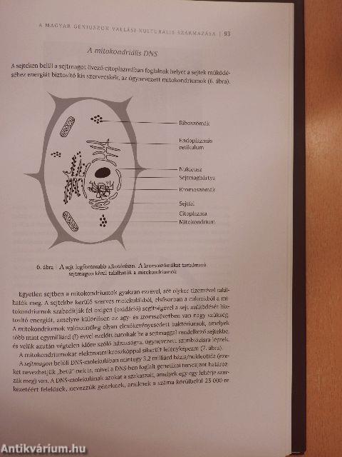 Kertész Imre és a sors