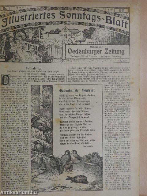Illustriertes Sonntags-Blatt Nr. 1-52. 1913-1914. (gótbetűs)