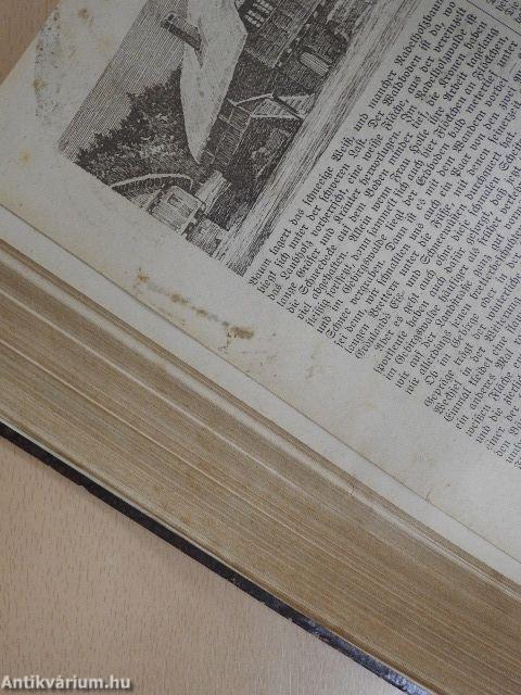 Illustriertes Sonntags-Blatt Nr. 1-52. 1913-1914. (gótbetűs)