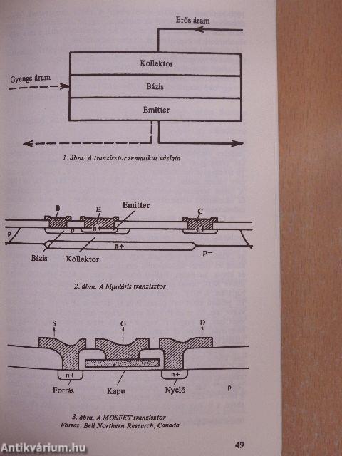 Mikroelektronika és társadalom