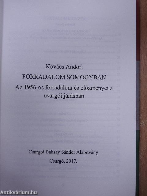 Forradalom Somogyban