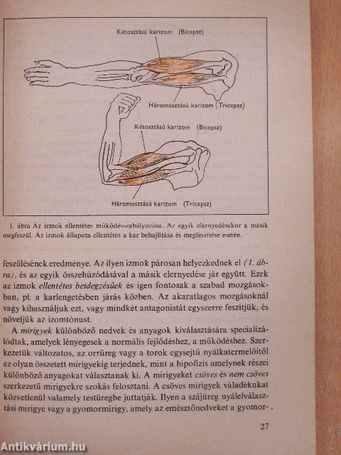 Általános pszichológia