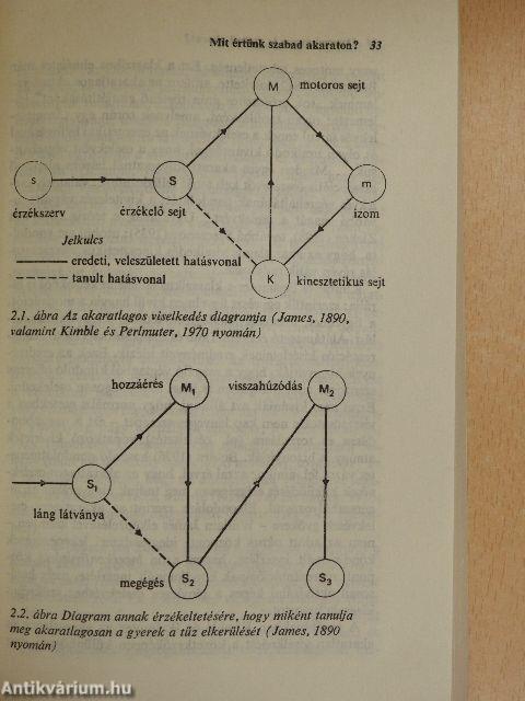 Fogalmak és nézőpontok a pszichológiában