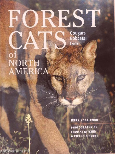 Forest Cats of North America