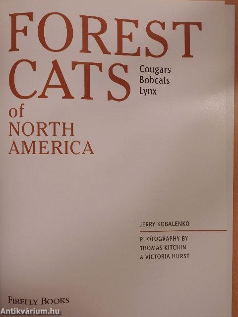 Forest Cats of North America