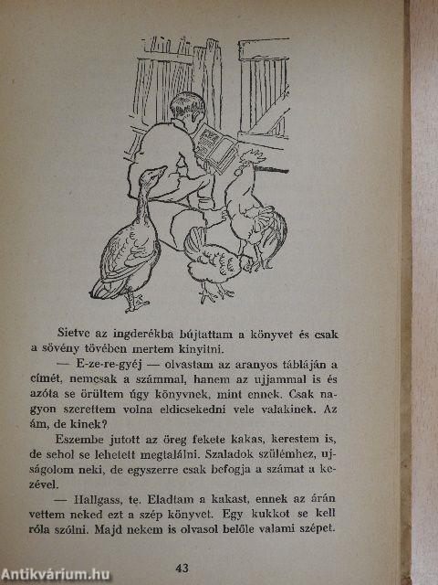 Kincskereső kis ködmön